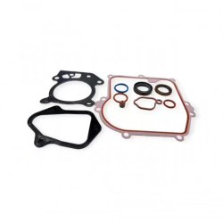 Наборы прокладок для двигателей Briggs & Stratton Наборы прокладок для двигателей Briggs & Stratton