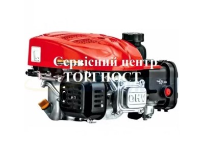 Замена бензинового двигателя AL-KO Pro 125 на газонокосилке