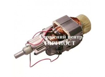 Заміна двигуна електричного тримера AL-KO BC 1200 E