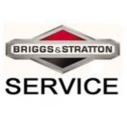 Сервисный центр Briggs&Stratton 
