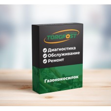 Ремонт газонокосилки Oleo-Mac