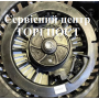 Cтартер двигателя Pro 160 QSS газонокосилки АЛКО - 411834 - купити в SADOVKA