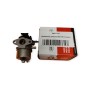 Карбюратор Briggs & Stratton для подметальной машины Hecht 8101 BS - купить в SADOVKA